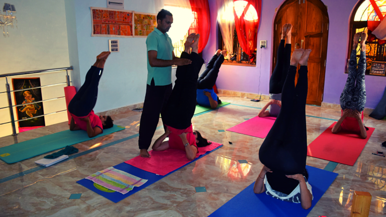 Image YTTC 2 | Vishuddhi Isha Yoga Goa India Yoga teacher training