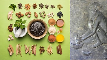 Residential Ayurveda Courses Residential Ayurveda Courses