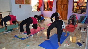 Vedic Astrology Consultations