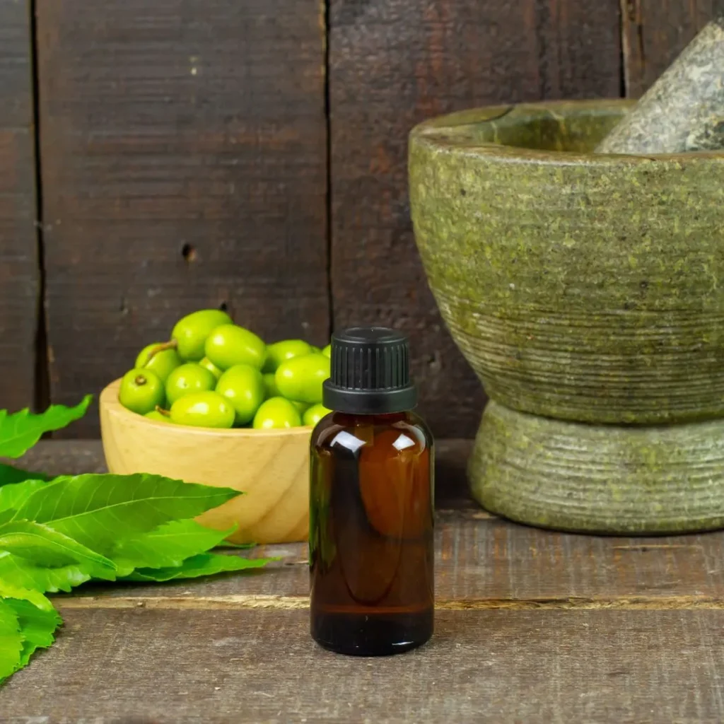 Ayurveda Education Online comparison 