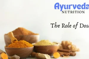 Ayurveda (1) Ayurveda Nutrition Courses