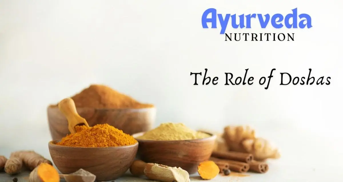 Ayurveda Nutrition Courses