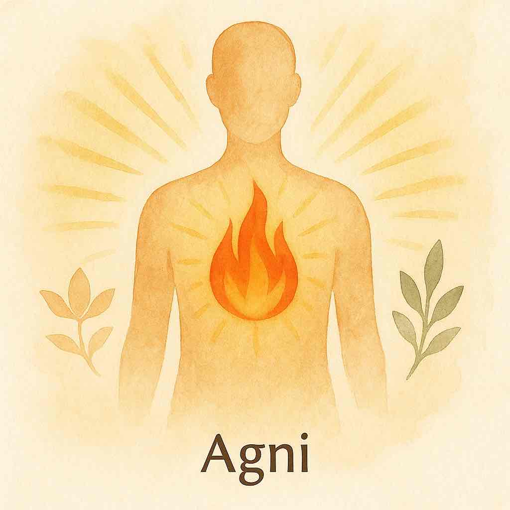 Agni Digestive Fire Ayurveda