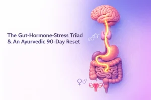Can Stress Cause Stomach Issues? The Gut-Hormone-Stress Triad & An Ayurveda Treatment- 90-Day Reset