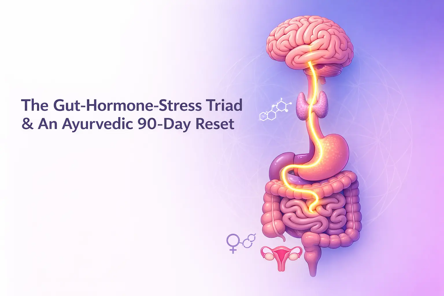 Can Stress Cause Stomach Issues? The Gut-Hormone-Stress Triad & An Ayurveda Treatment- 90-Day Reset