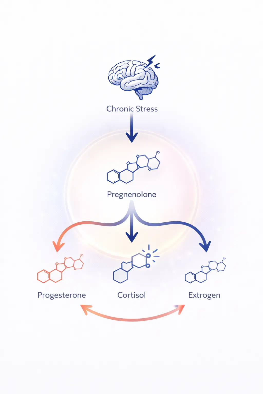 Flowchart illustrating how chronic stress diverts pregnenolone toward cortisol production reducing progesterone and estrogen levels