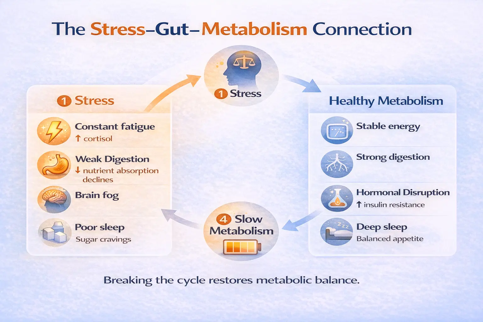 stres gut metabolism connection | Vishuddhi Issha Yoga Ayurveda Diagram showing the connection between stress gut health and metabolism