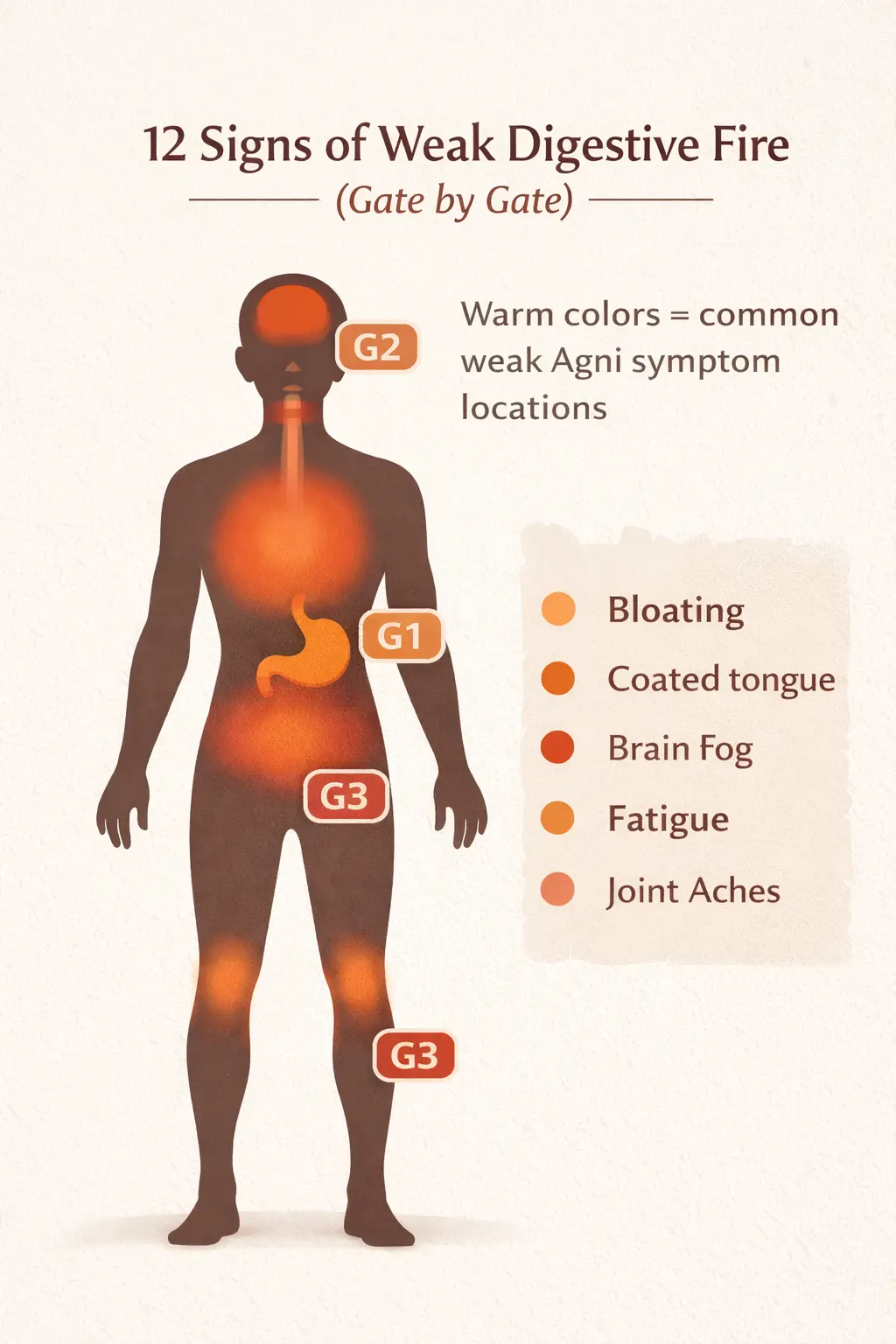 Signs of weak digestion Agni symptoms bloating fatigue brain fog