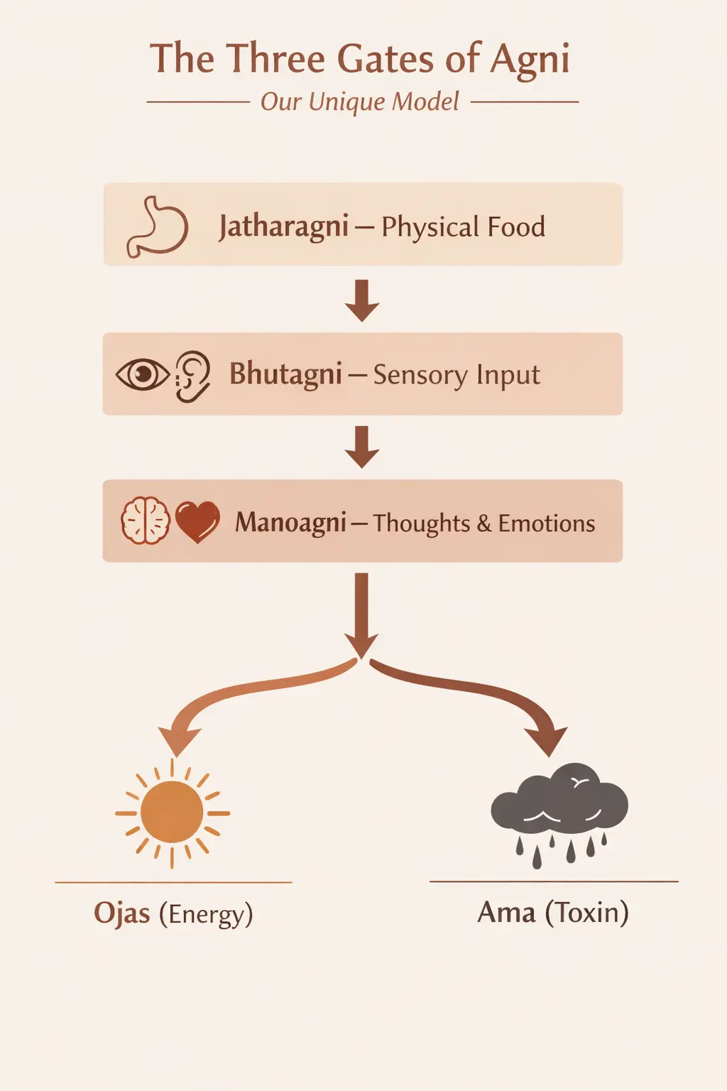 What is Agni in Ayurveda digestive fire explained