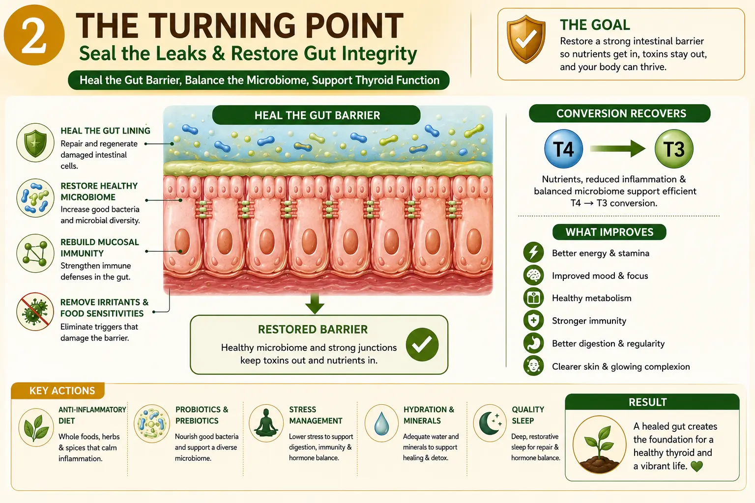 THyroid 1 | Vishuddhi Issha Yoga Ayurveda Healing the gut barrier to restore thyroid function and hormone conversion