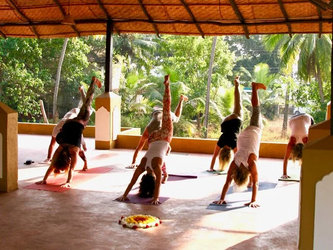 yoga courses in goa | Vishuddhi Issha Yoga Ayurveda Yoga Teacher Training Daily Schedule Goa