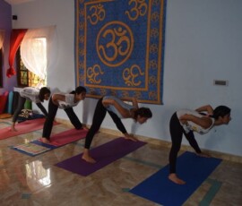 200 hrs Yoga Teacher Training